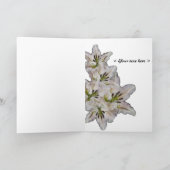 Reinheit und Schönheit der Nefertitis (Karte) Karte (Innenseite)