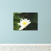 Reinheit Water Lilly, Lotus Fotografy Wall Art Leinwanddruck (Insitu (Holzboden))