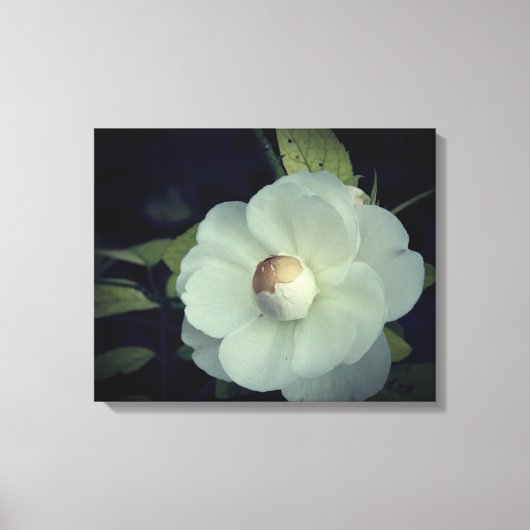 Reinheit, weiße Blume Leinwand (Vorderseite)