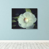 Reinheit, weiße Blume Leinwand (Insitu (Holzboden))