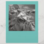 Reinigen Sie die quadratischen Flyer-Bilder aus Flyer (Hinten)