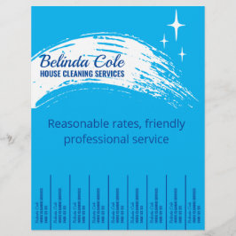 Reinigung des Haushaltshilfs Abziehen des Handwisc Flyer