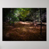 Reinigung in einem dunklen Wald Poster (Vorne)