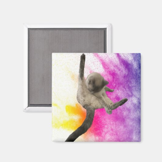 Reinigung Magnet (Vorderseite/Rückseite)