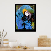 Reinigung Poster (Küche)