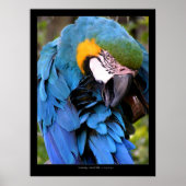 Reinigung Poster (Vorne)