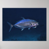 Reinigung von Jacken Poster (Vorne)