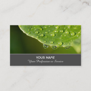 Reinigung von Regentropfen für Gärtner und Florist Visitenkarte