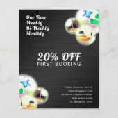 Reinigungsblasen beruflicher Flyer (Hinten)