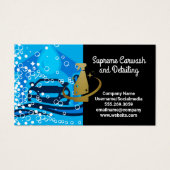 Reinigungsservice für Autos | Blasen | Sauberes Sp (Vorderseite)