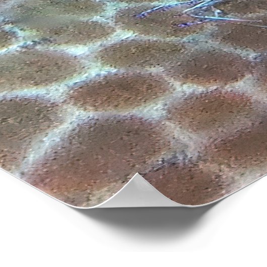 Reinigungsservice Poster (Ecke)