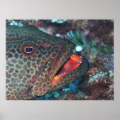 Reinigungsservice Poster (Vorne)