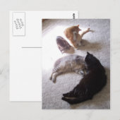 Reinigungszeit Postkarte (Vorne/Hinten)