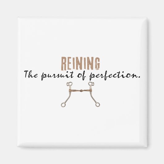 Reining Magnet (Vorne)
