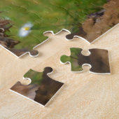 Reinrassige Cocker Hunde. Puzzle (Seite)