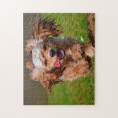 Reinrassige Cocker Hunde. Puzzle (Vertikal)