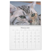 Reinrassiger Katzen-Zucht-Rettungs-Kalender Kalender (Feb 2026)