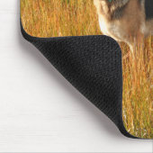 Reinrassiger Schäferhund Mousepad (Ecke)