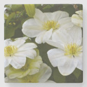 Reinweiße Clematis Steinuntersetzer (Vorderseite)