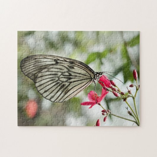 Reis-Papierschmetterling, Papierdrachen, Idee Puzzle (Horizontal)