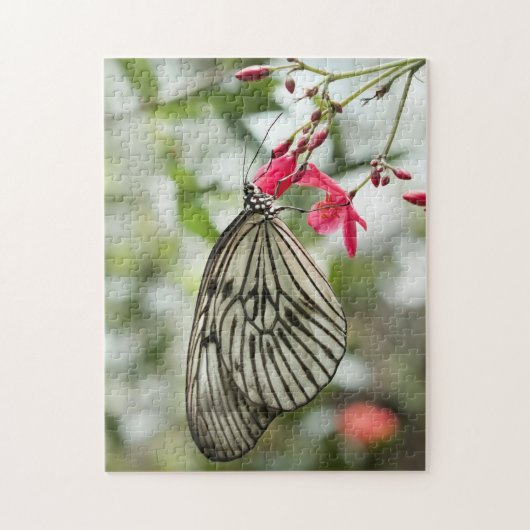 Reis-Papierschmetterling, Papierdrachen, Idee Puzzle (Vertikal)
