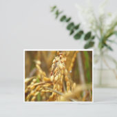 Reis-Postkarte Postkarte (Stehend Vorderseite)