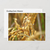 Reis-Postkarte Postkarte (Vorne/Hinten)