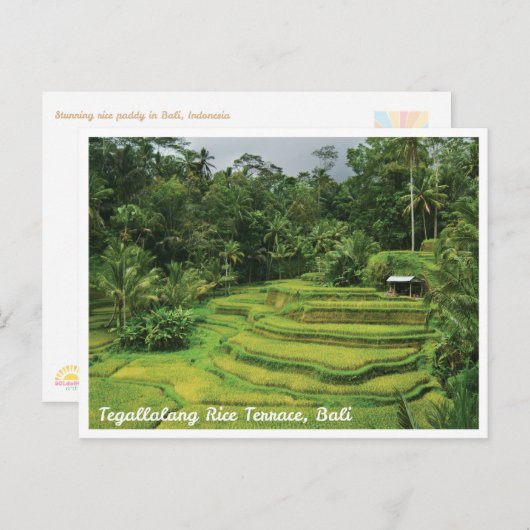 Reis-Terrassen auf Bali - Postkarte für Reiseimpre (Vorne/Hinten)