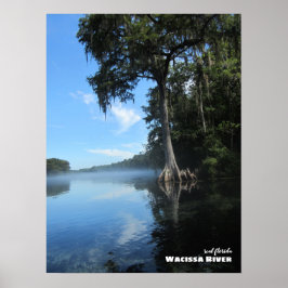 Reise- | Florida - Alte Zypressenbaum, Fluss Waci Poster