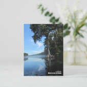Reise- | Florida - Alte Zypressenbaum, Fluss Waci Postkarte (Stehend Vorderseite)