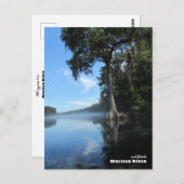 Reise- | Florida - Alte Zypressenbaum, Fluss Waci Postkarte (Vorne/Hinten)