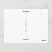 Reise- | Florida - Alte Zypressenbaum, Fluss Waci Postkarte (Rückseite)