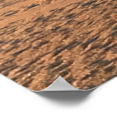 Reise- | Florida - Anastasia Beach Red Chair Poster (Ecke)