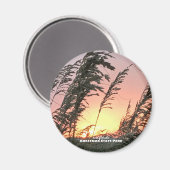 Reise- | Florida — Anastasia Sea Oats Magnet (Vorderseite/Rückseite)