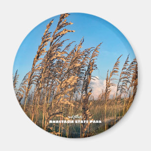 Reise-    Florida - Anastasia St Park Sea Oats Magnet