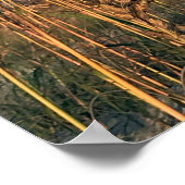 Reise-  | Florida - Anastasia Staat Park Sea Oats Poster (Ecke)