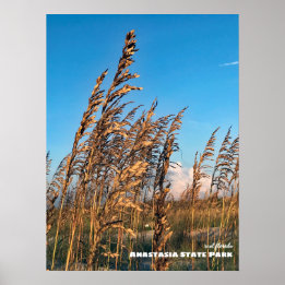 Reise-  | Florida - Anastasia Staat Park Sea Oats Poster