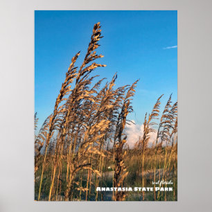 Reise-    Florida - Anastasia Staat Park Sea Oats Poster