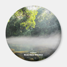 Reise- | Florida - Blaue Nadelspinge Foggy Mornin Magnet