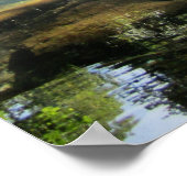 Reise-  | Florida - Blaue Nadelspinge Foggy Mornin Poster (Ecke)