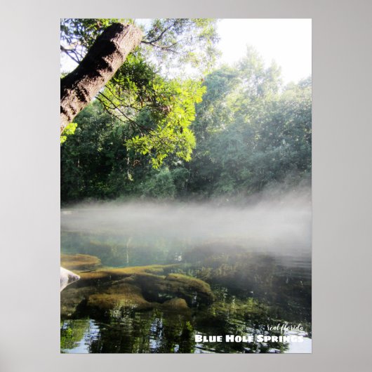 Reise-  | Florida - Blaue Nadelspinge Foggy Mornin Poster (Vorne)