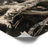 Reise- | Florida - Cape San Blas Beach Poster (Ecke)