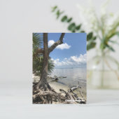 Reise-  | Florida - Cape San Blas Beach Postkarte (Stehend Vorderseite)