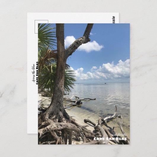 Reise-  | Florida - Cape San Blas Beach Postkarte (Vorne/Hinten)