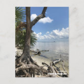 Reise-  | Florida - Cape San Blas Beach Postkarte (Vorderseite)