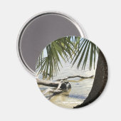 Reise-  | Florida - Cape San Blas Driftwood Beach Magnet (Vorderseite/Rückseite)