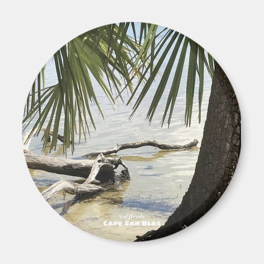 Reise-  | Florida - Cape San Blas Driftwood Beach Magnet (Vorne)