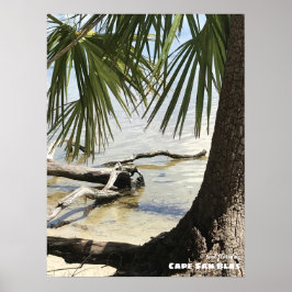 Reise- | Florida - Cape San Blas Driftwood Poster