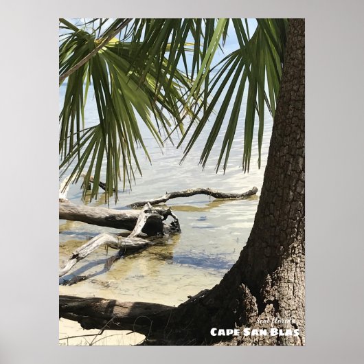 Reise- | Florida - Cape San Blas Driftwood Poster (Vorne)