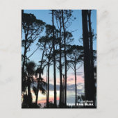 Reise- | Florida - Cape San Blas Pines Sunset Postkarte (Vorderseite)